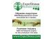 Debiut ExpoShoes Online Business