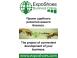 Projekt ExpoShoes Online